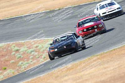 media/May-06-2023-Lucky Dog Racing (Sat) [[8f2256f436]]/Turn 2 10a/